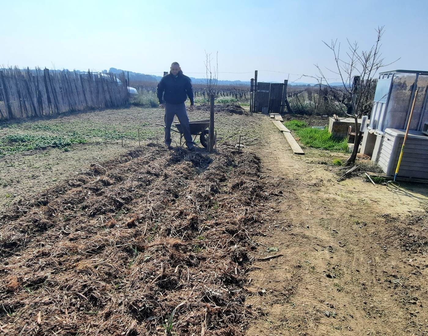 Potager "Le Coq du Nord-Mailhac"