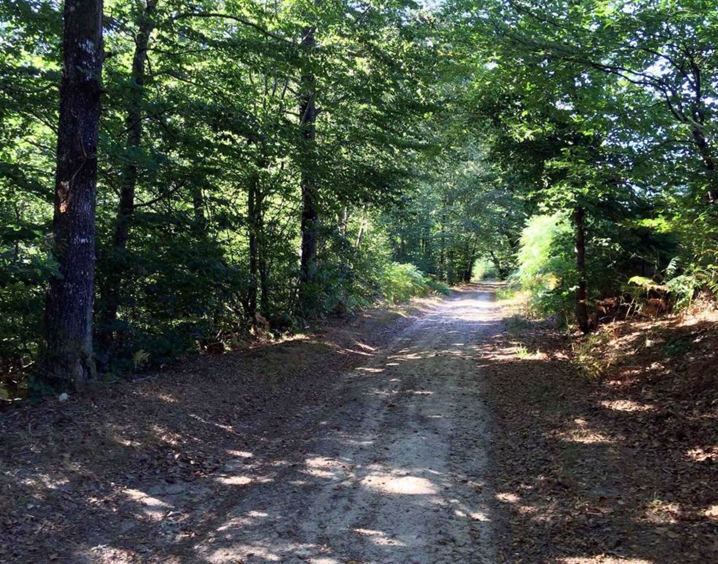 Sentier des Demoiselles