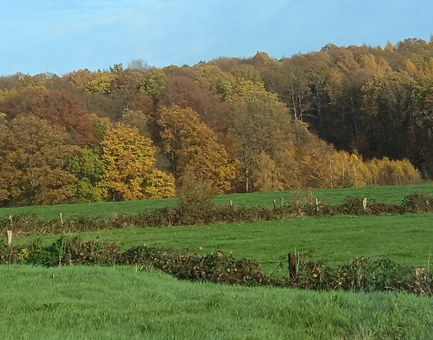 Les bois en remontant de Spa
