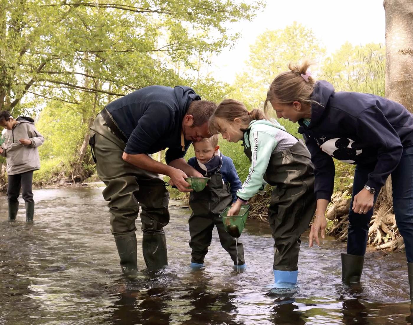 animation-nature-ardenne