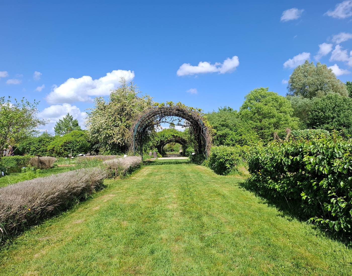 Jardin botanique de Marnay Sur Seine