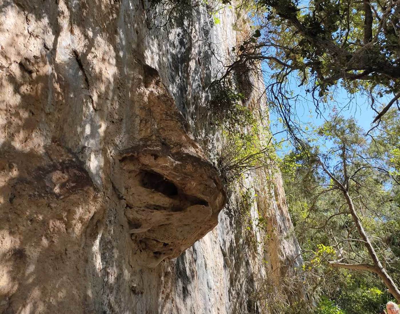 Le nez de la falaise
