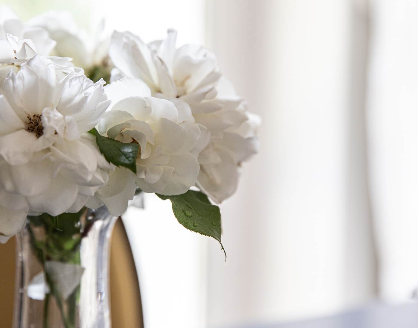 quelques roses du jardin