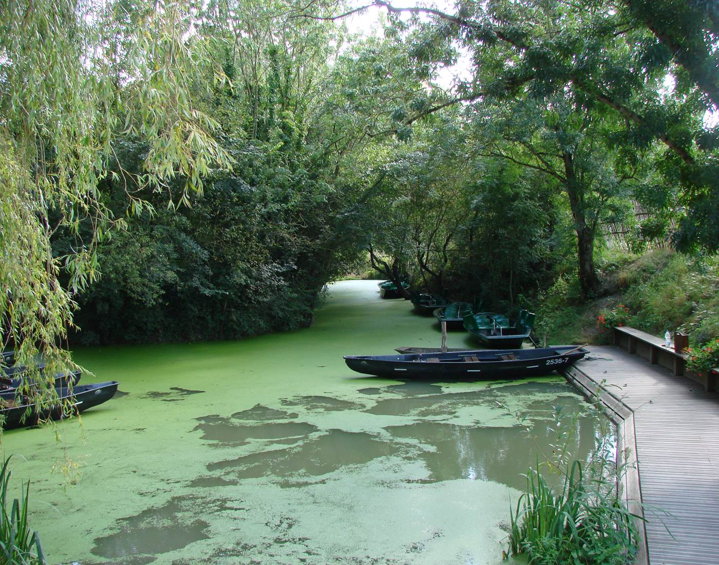 Un embarcadère du Marais
