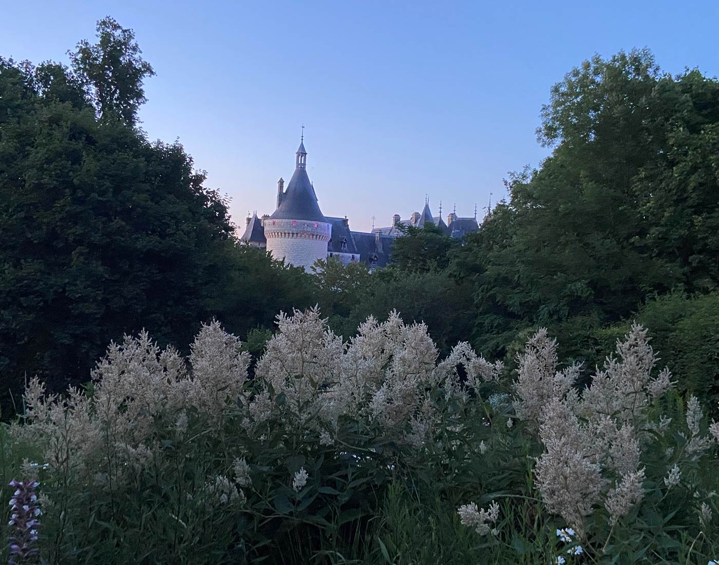 Chateau de Chaumont sur Loire