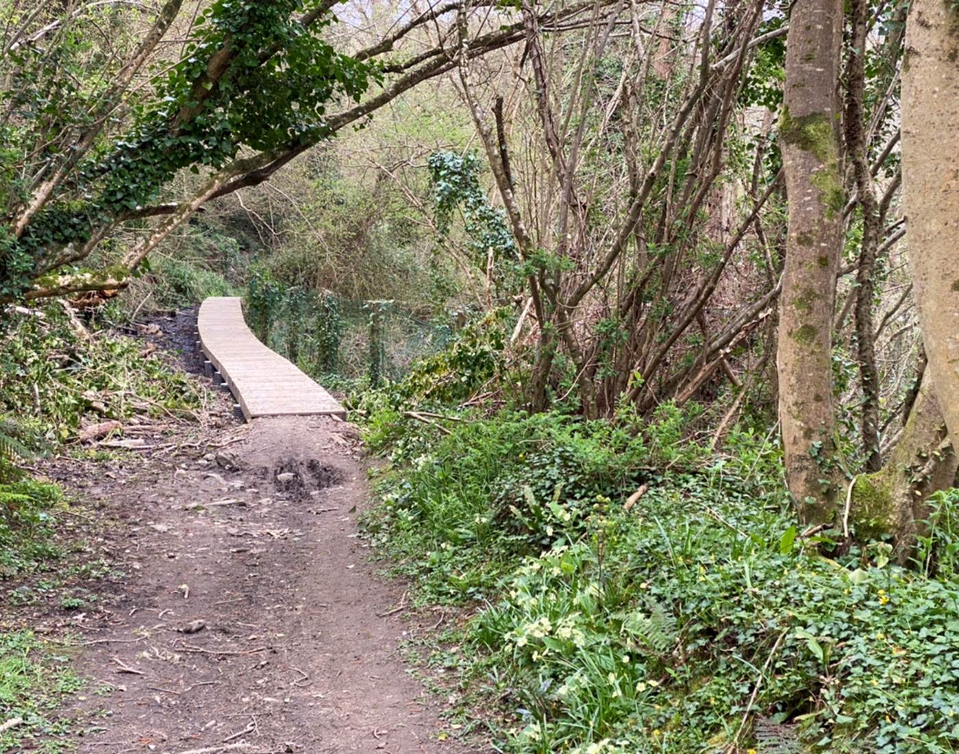 272D670A-6D94-4863-8CEA-0DF9255EEC2E