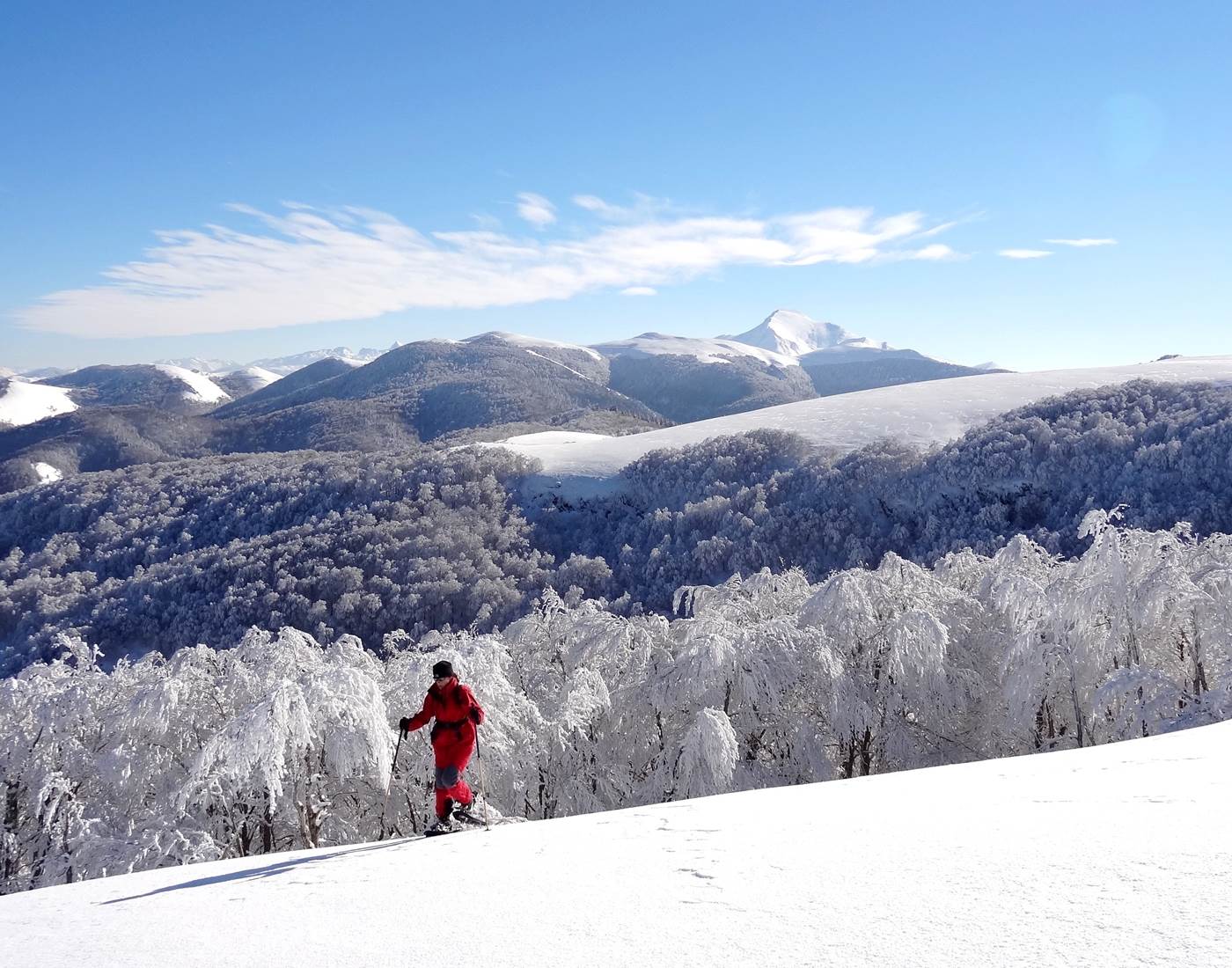 Activités_Raquettes en forêt d'Iraty