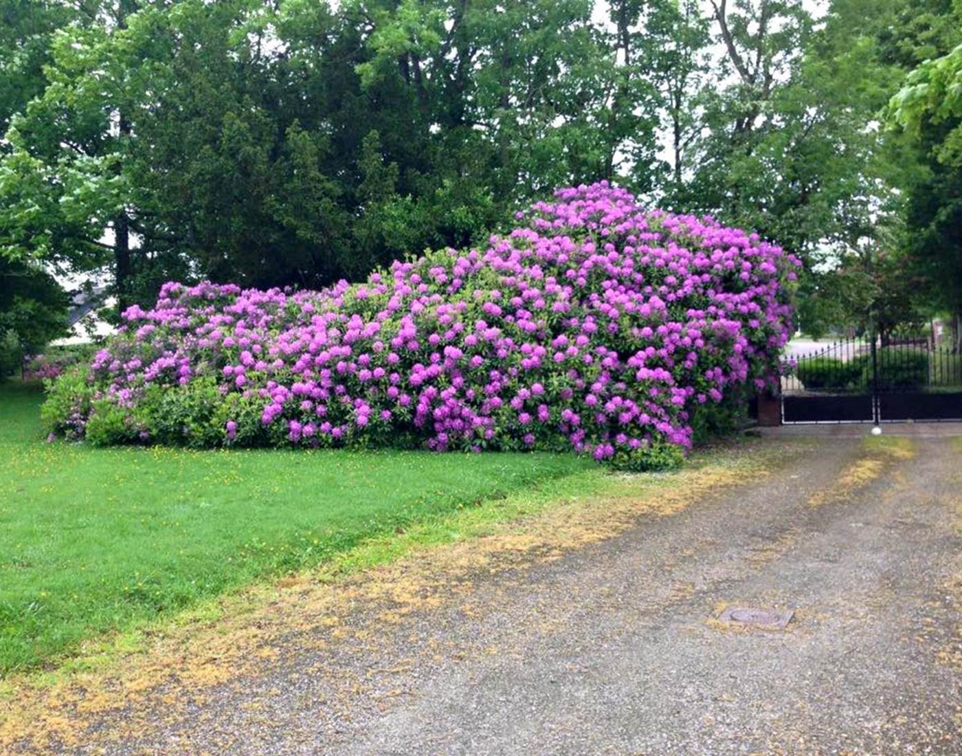 14355589_1844576069104768_972577088680353711_n