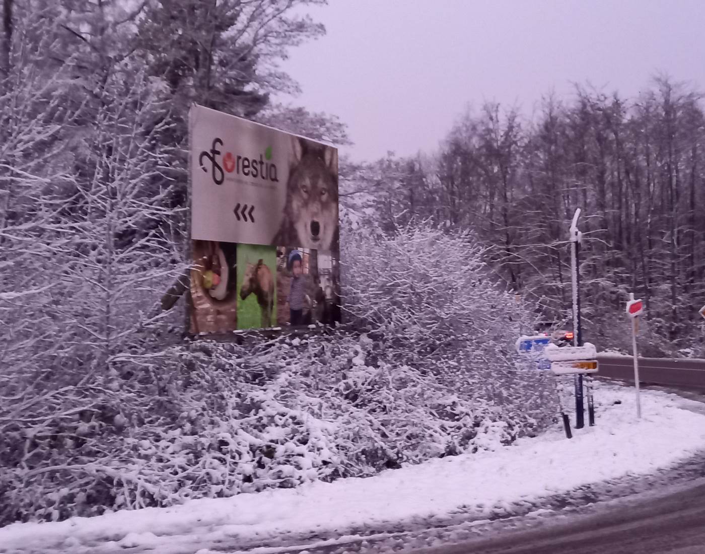 Nous ne sommes pas loin de Forestia !