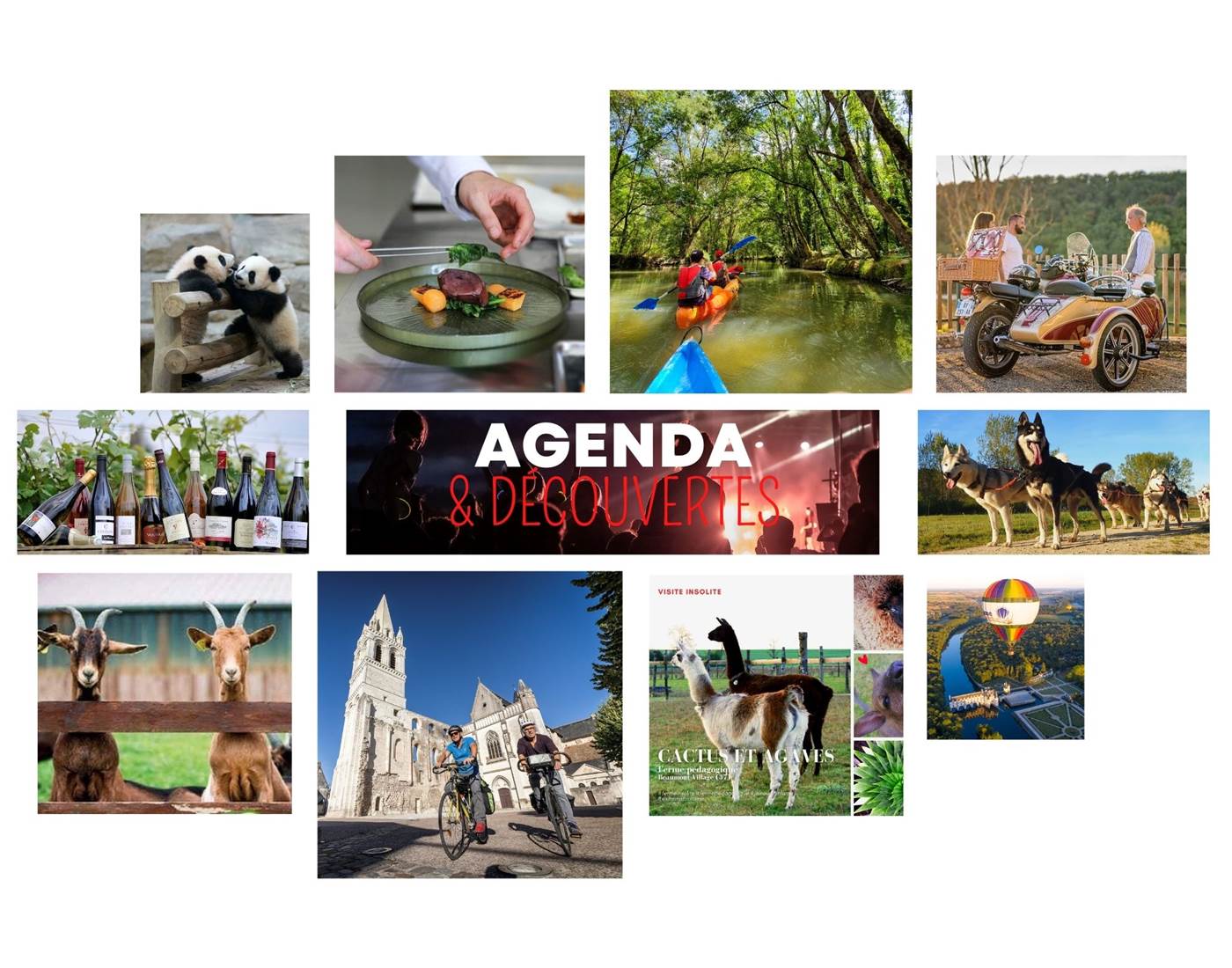 Agenda et decouvertes autour du Domaine des Cyclamens