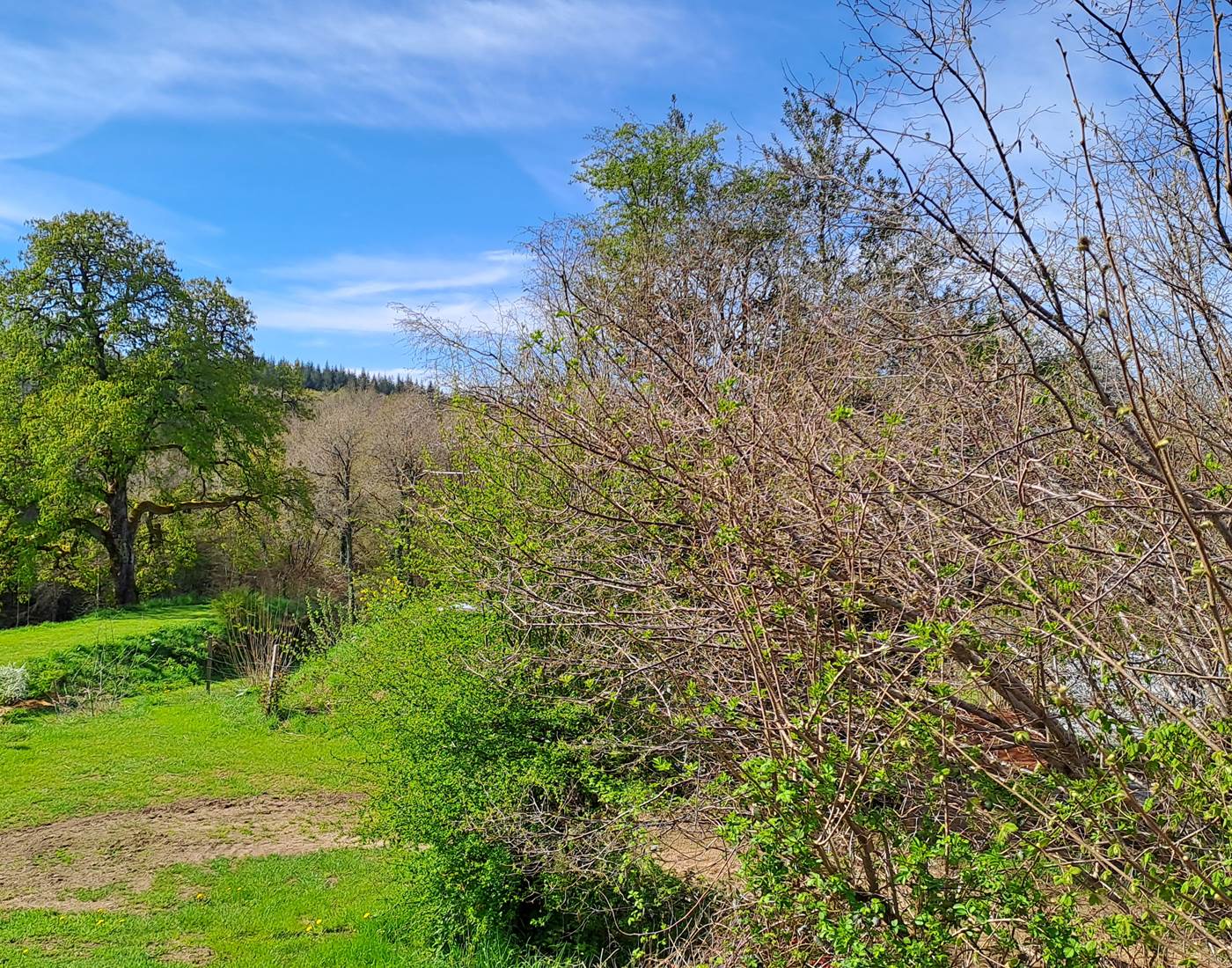 Vue depuis la cuisine