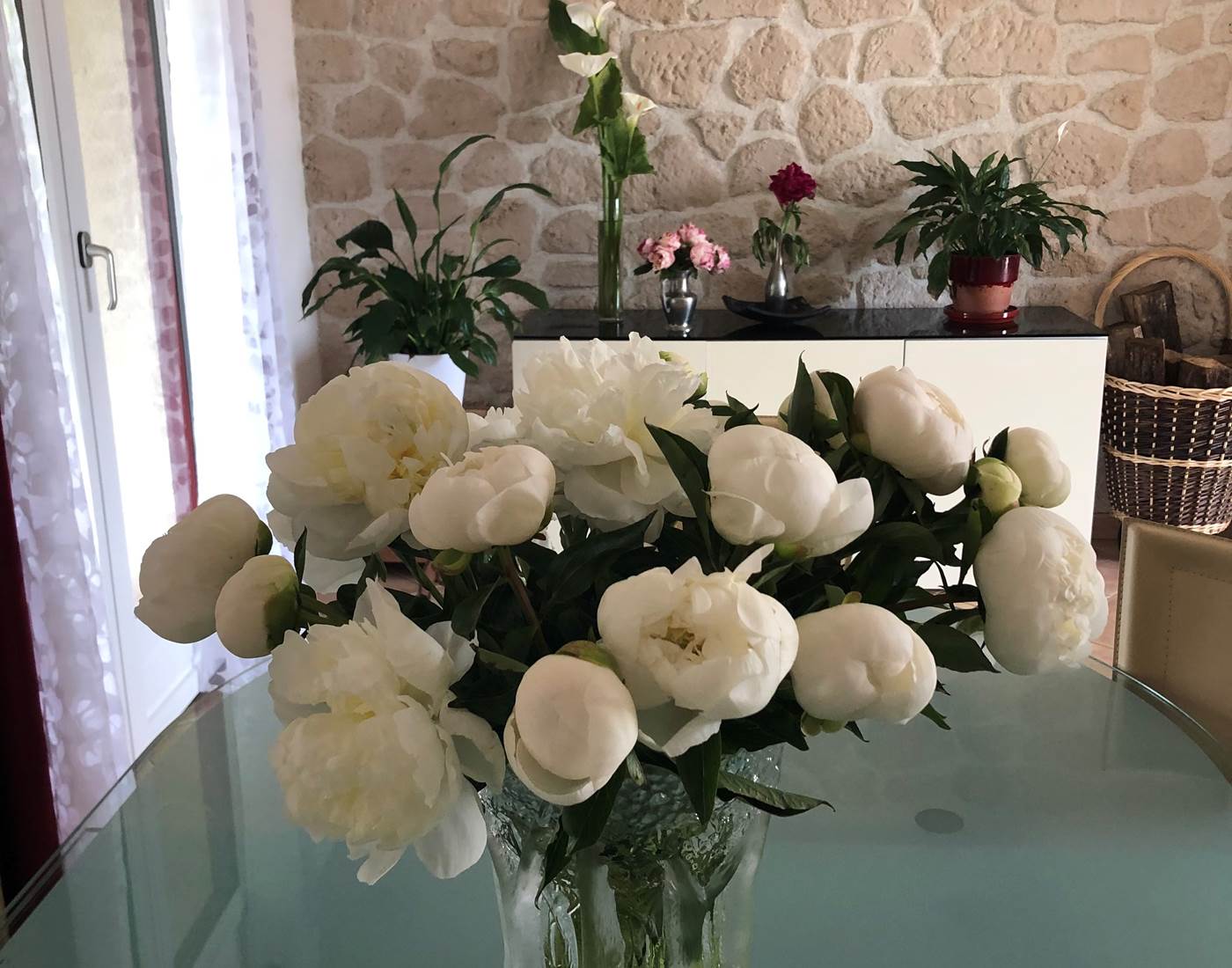bouquet-pivoines-blanches-mas-des-anges-chambres-hotes-soussans.jpg