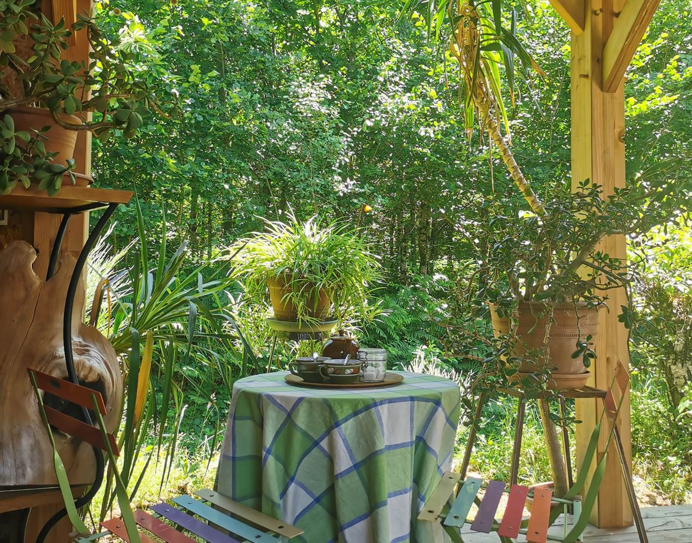 Petit déjeuner devant la forêt