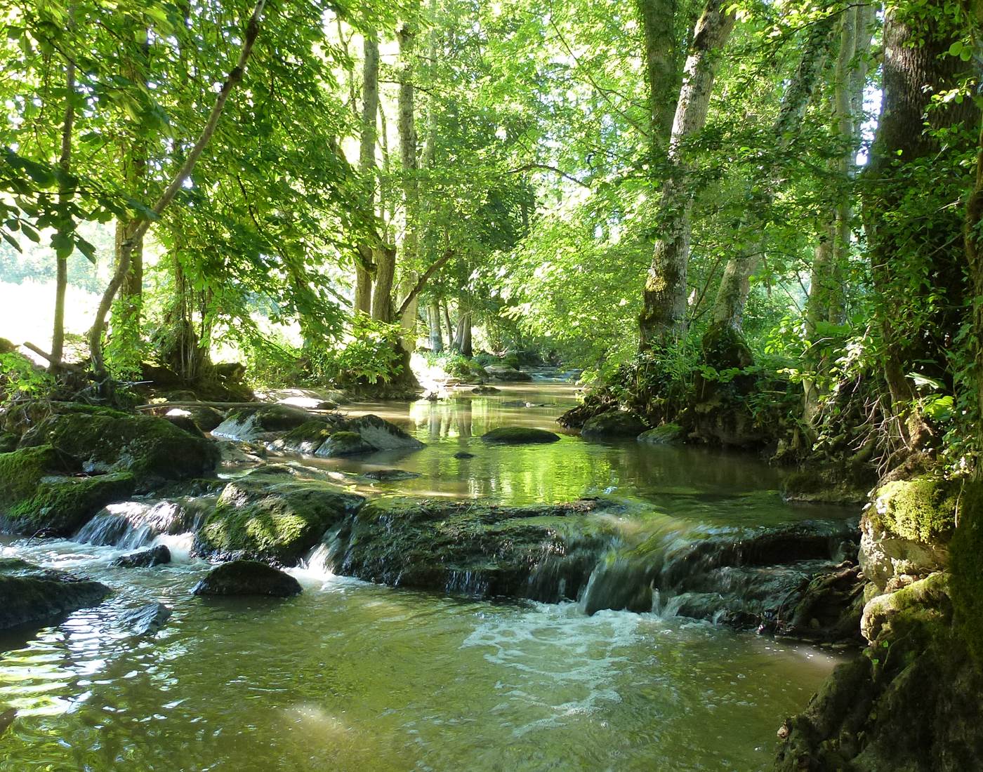 Notre lien avec la nature décide de nos comportements ... si si-news