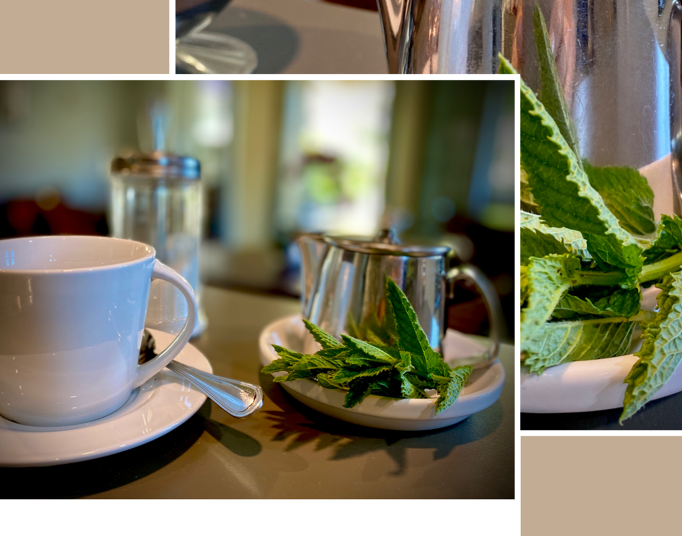 Laissez vous chouchouter Hôtel des Bains Figeac