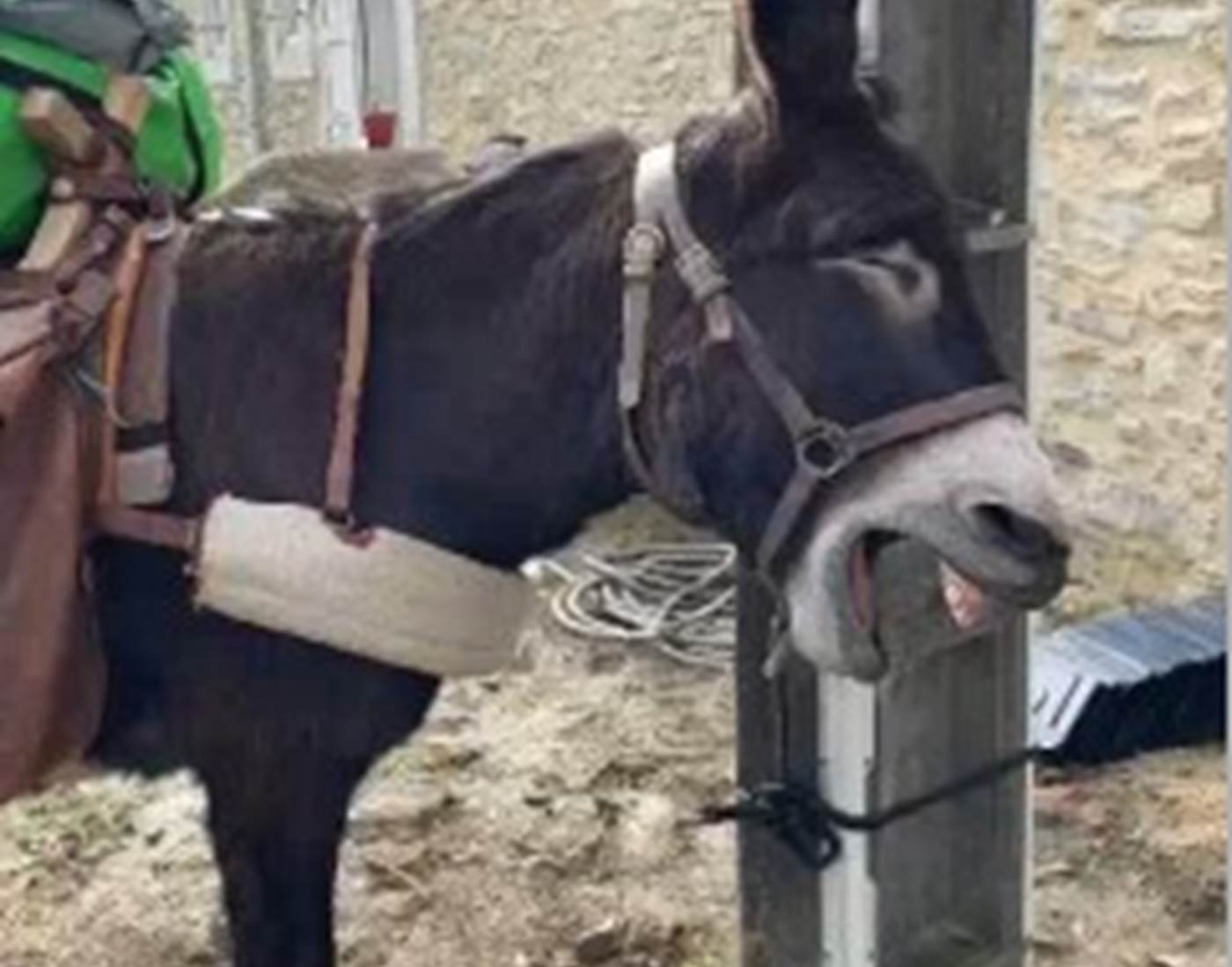 Que la vie est dure 😉!-news