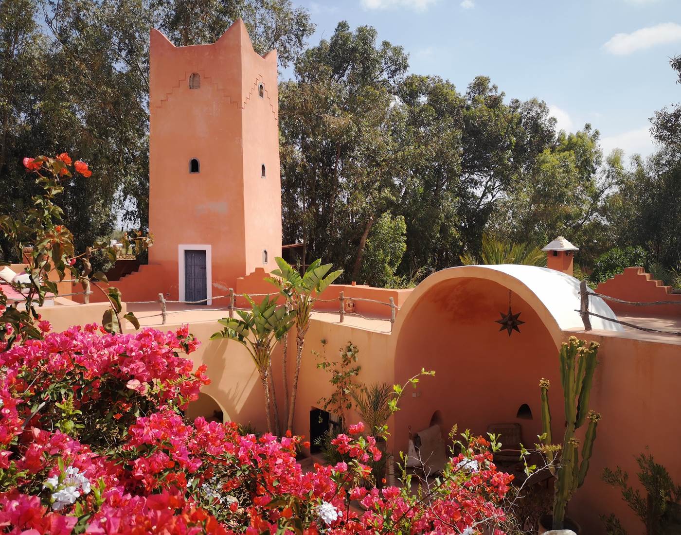 Au milieu d'une fôret d'eucalyptus...