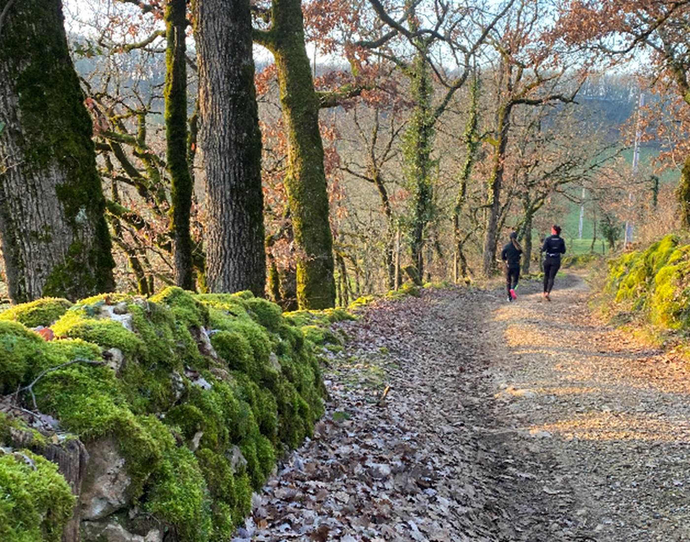Randonnée ou trail. Tant de sentiers magnifiques !