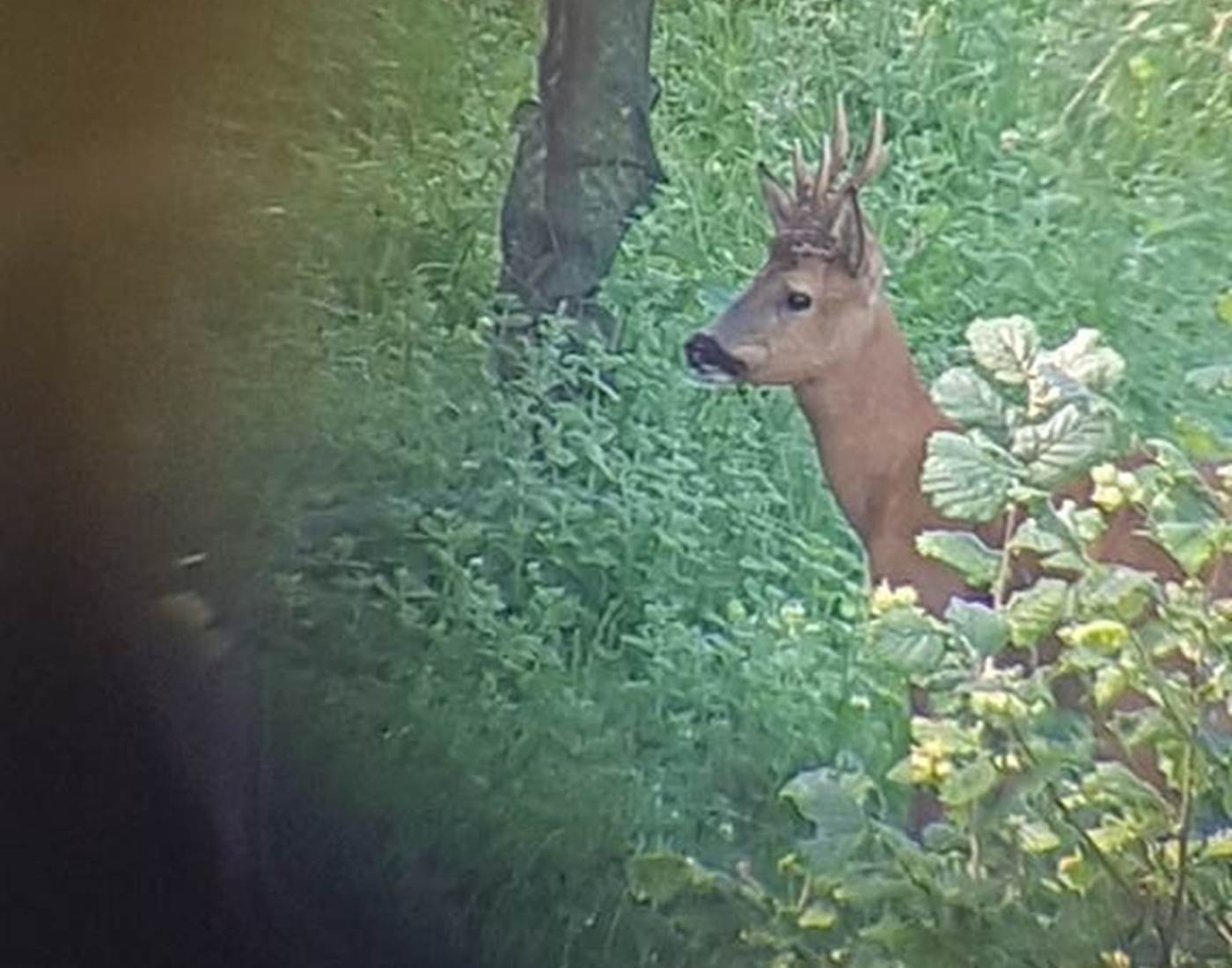 Avec la longue vue !