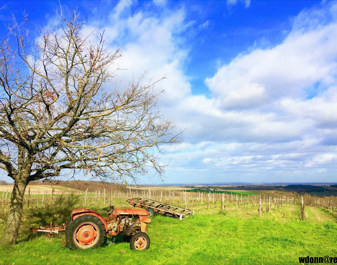 Bouillac - Vignoble du Domaine de la Tucayne