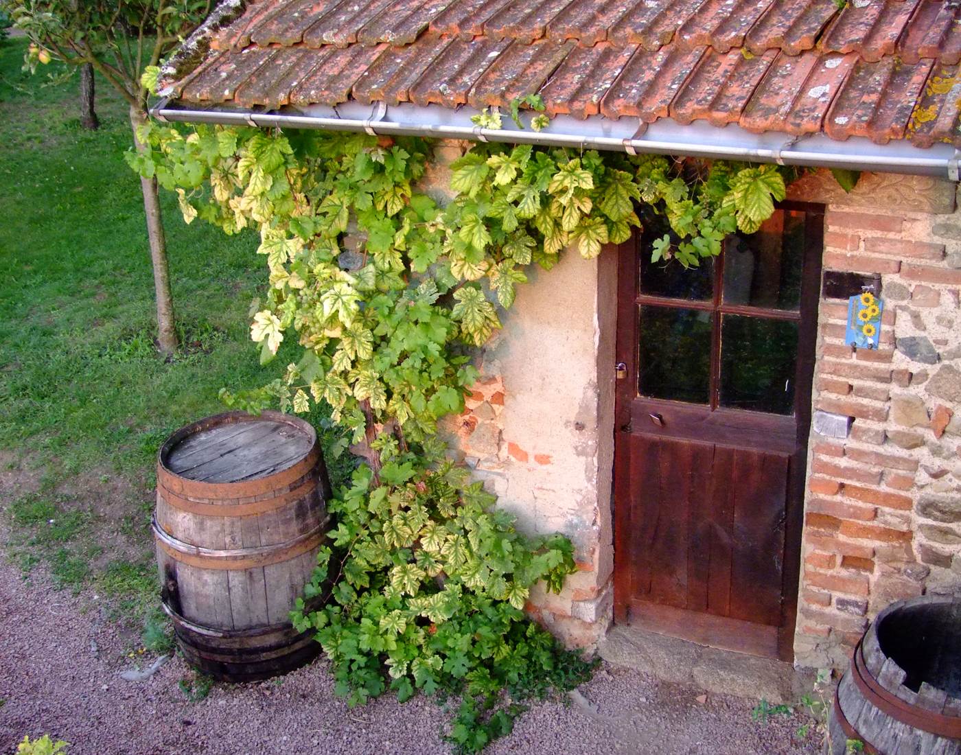 Cabane vigneronne