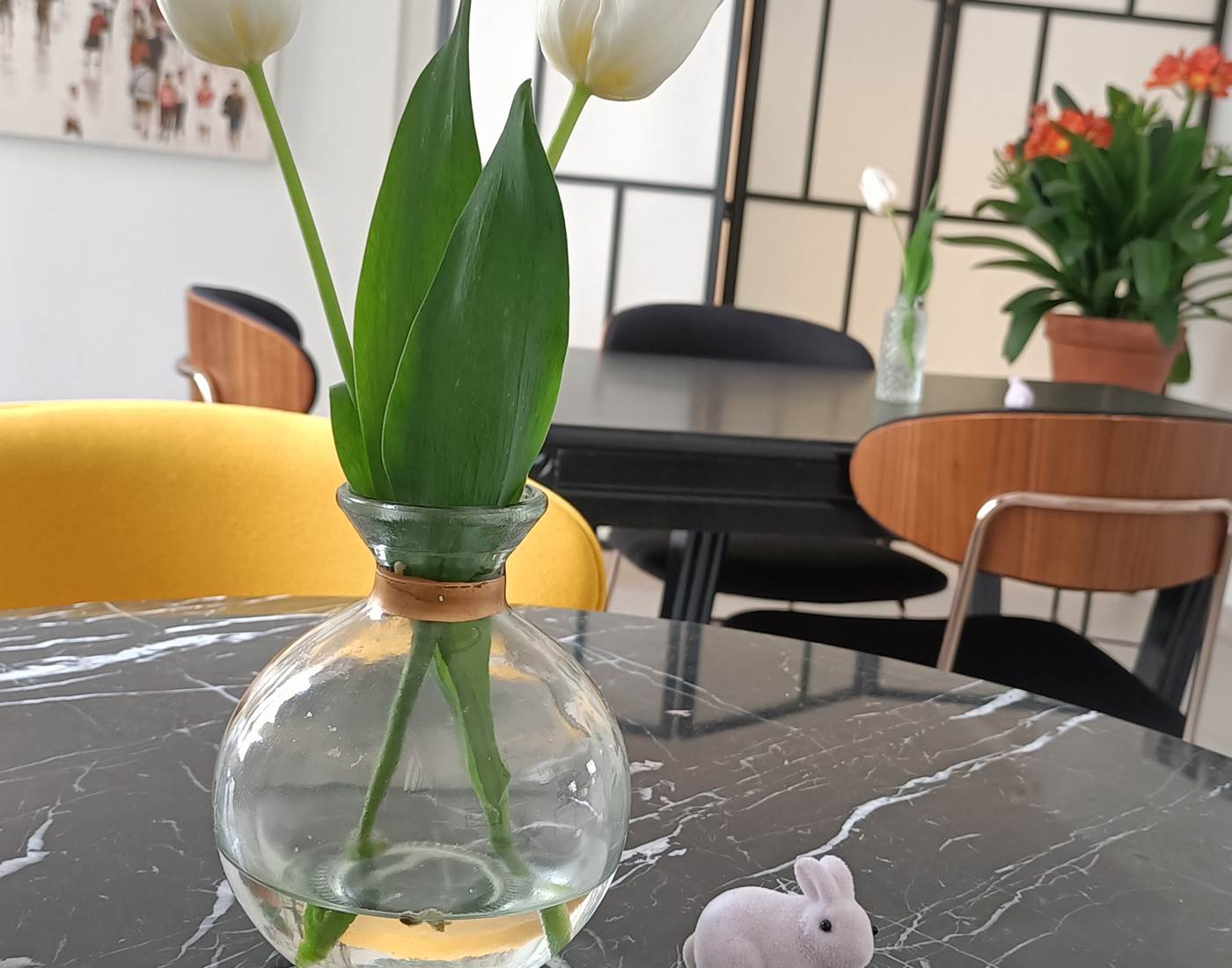 Villa Buffon Angers Pâques