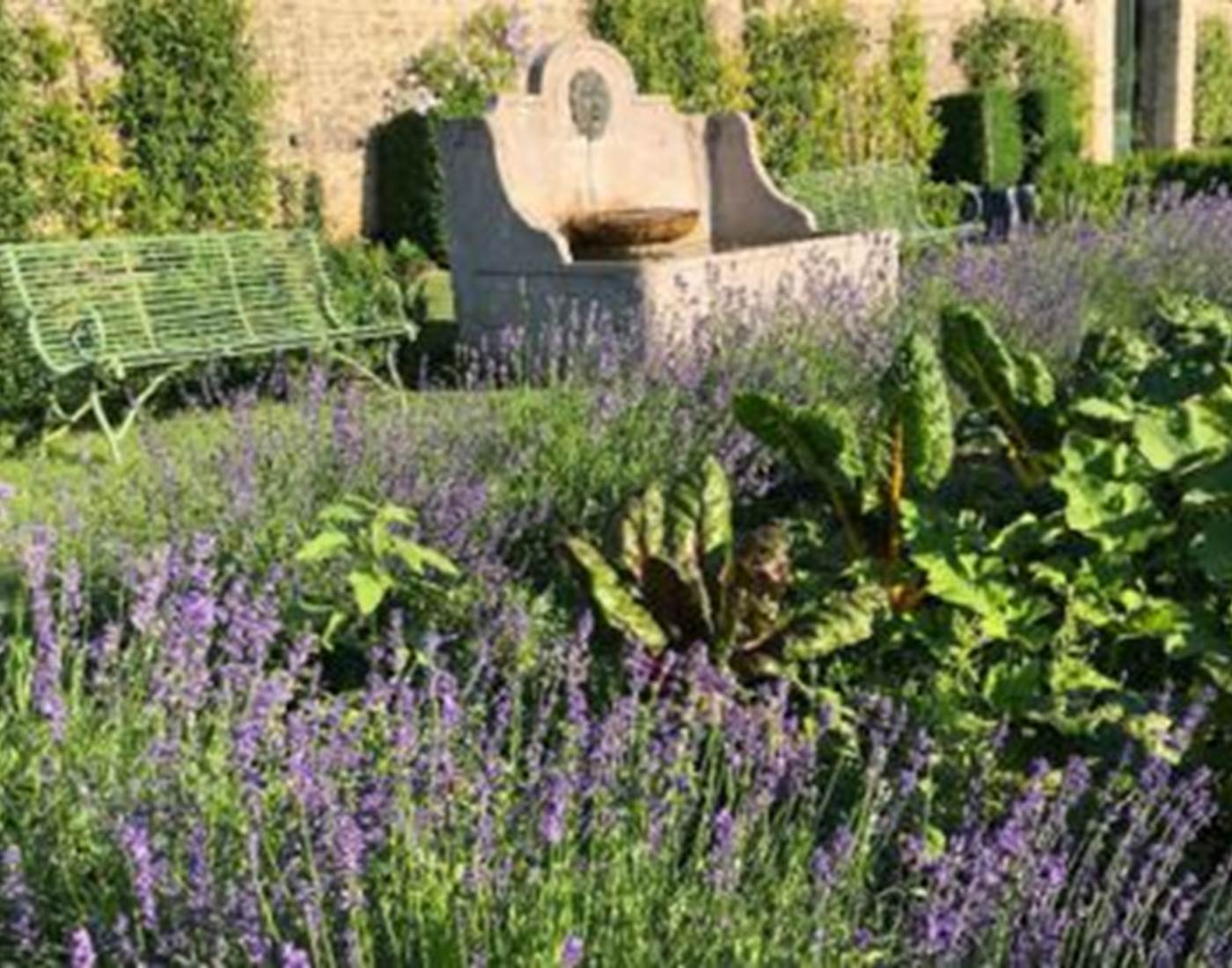 Carrée des lavandes