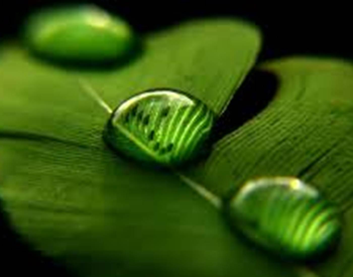 Le Répit de l'Oust - Des vacances au vert !