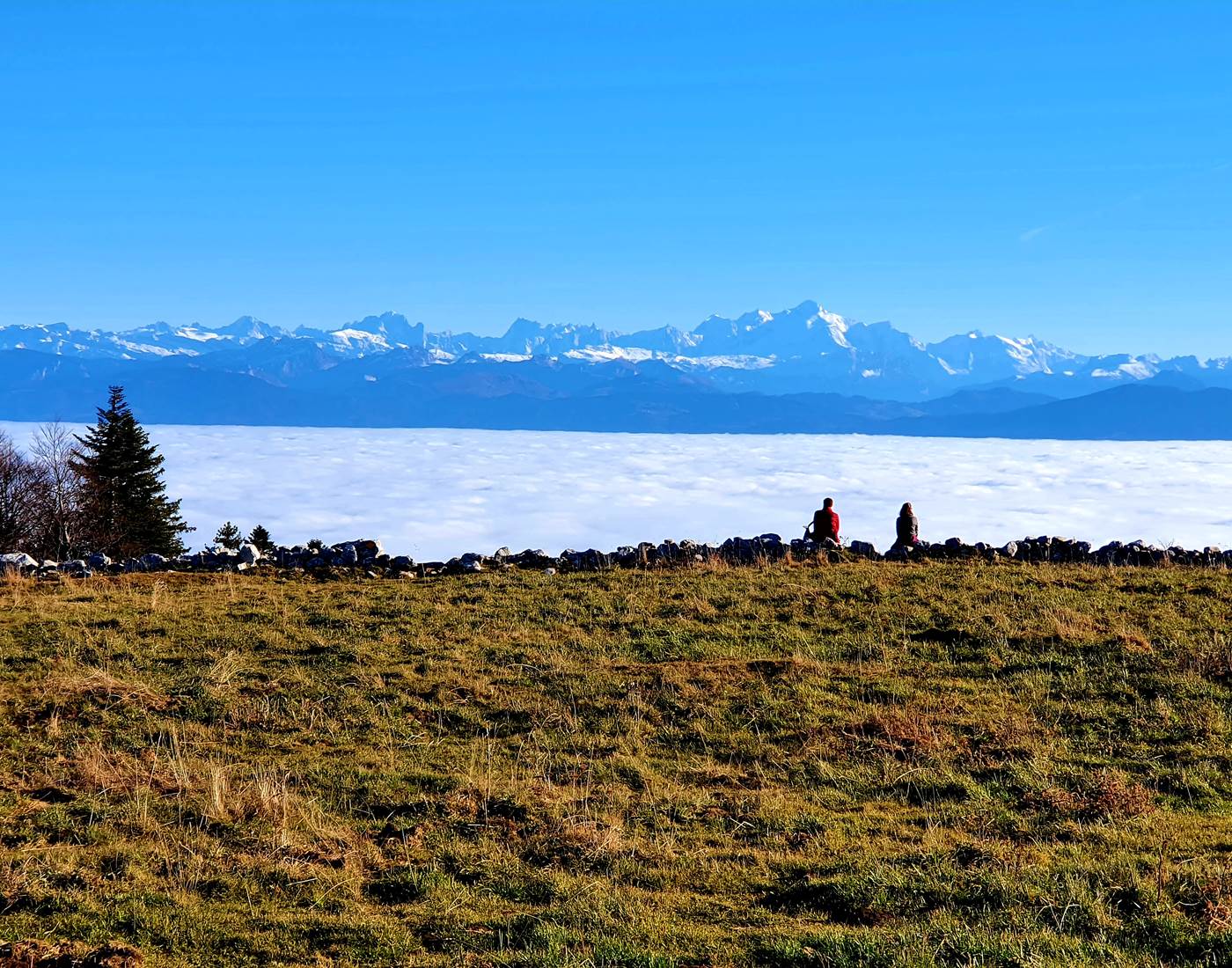 balade aux fruitieres de Nyon