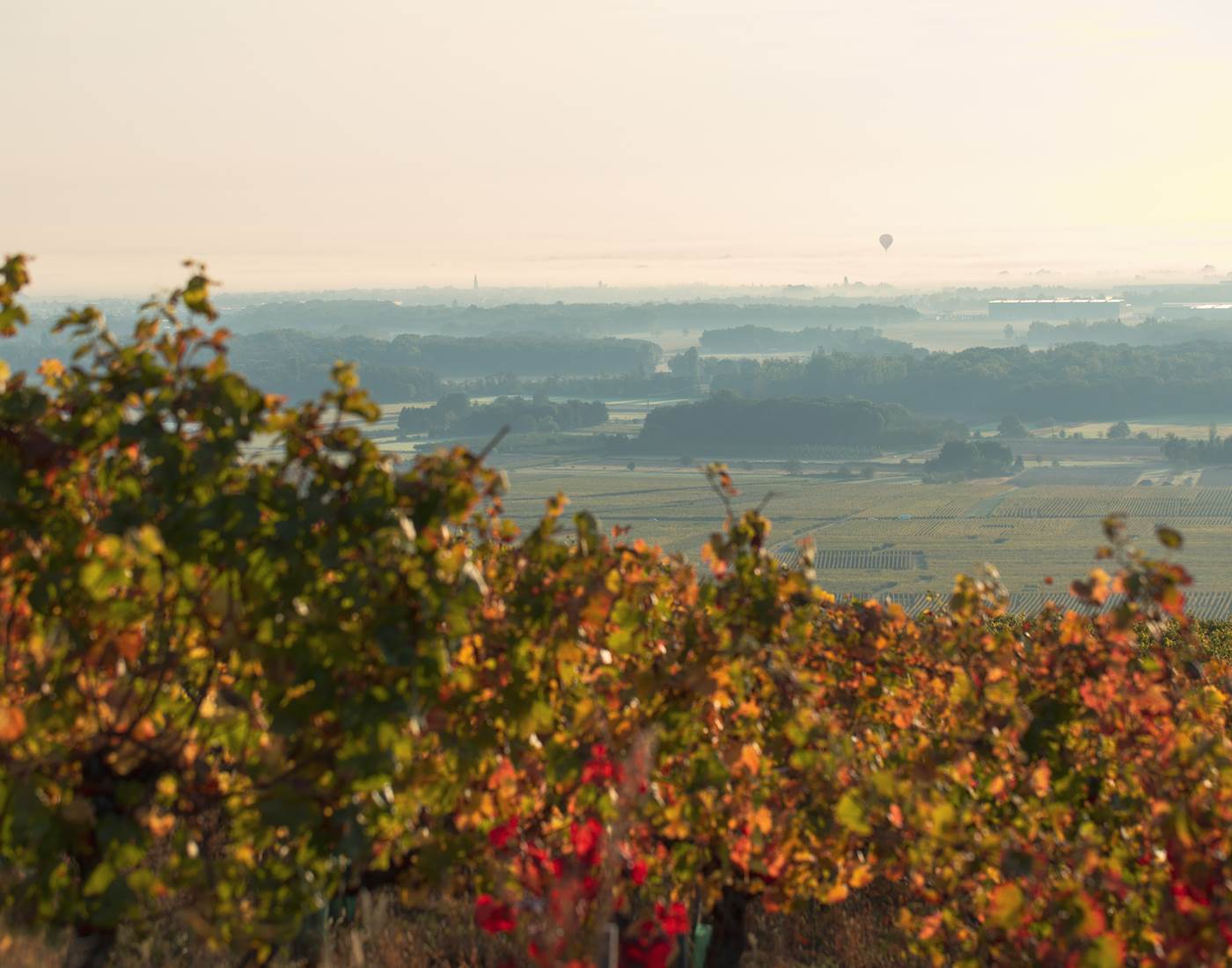 Vallée de Kaysersberg