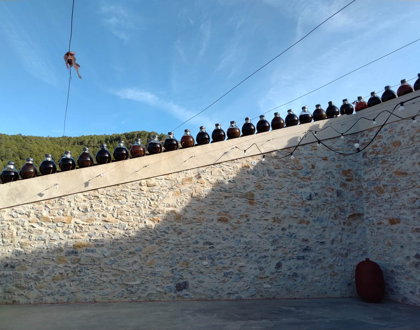 Découverte des vinaigres de Cyril Codina