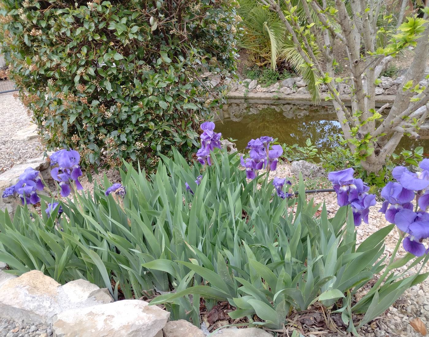 Le printemps est de retour