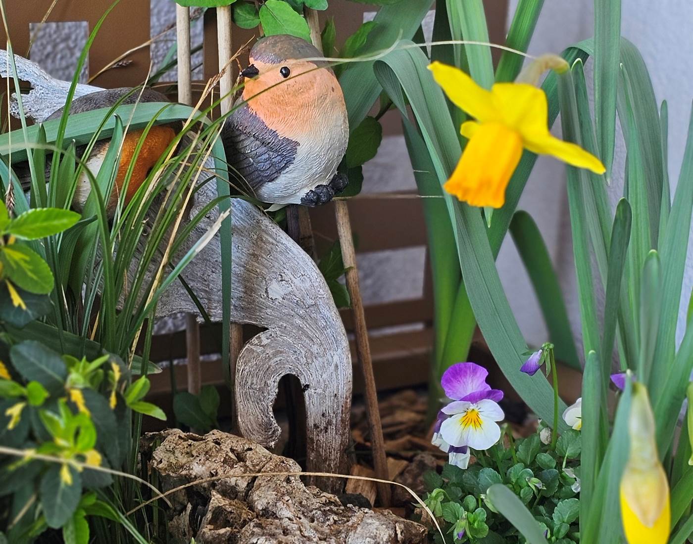 Le printemps est là !