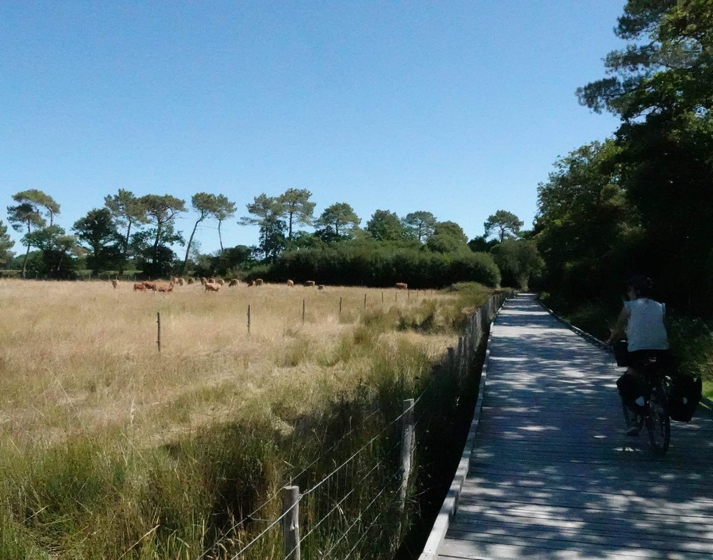 Chemin de randonnée accessible depuis la maison