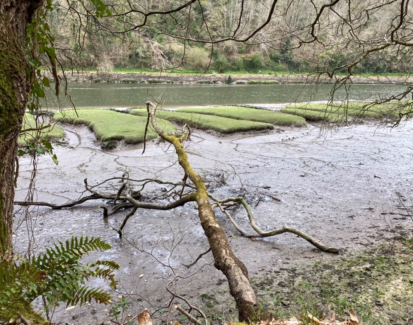 41A0C93D-8D6E-40D5-B3FE-47007B888890