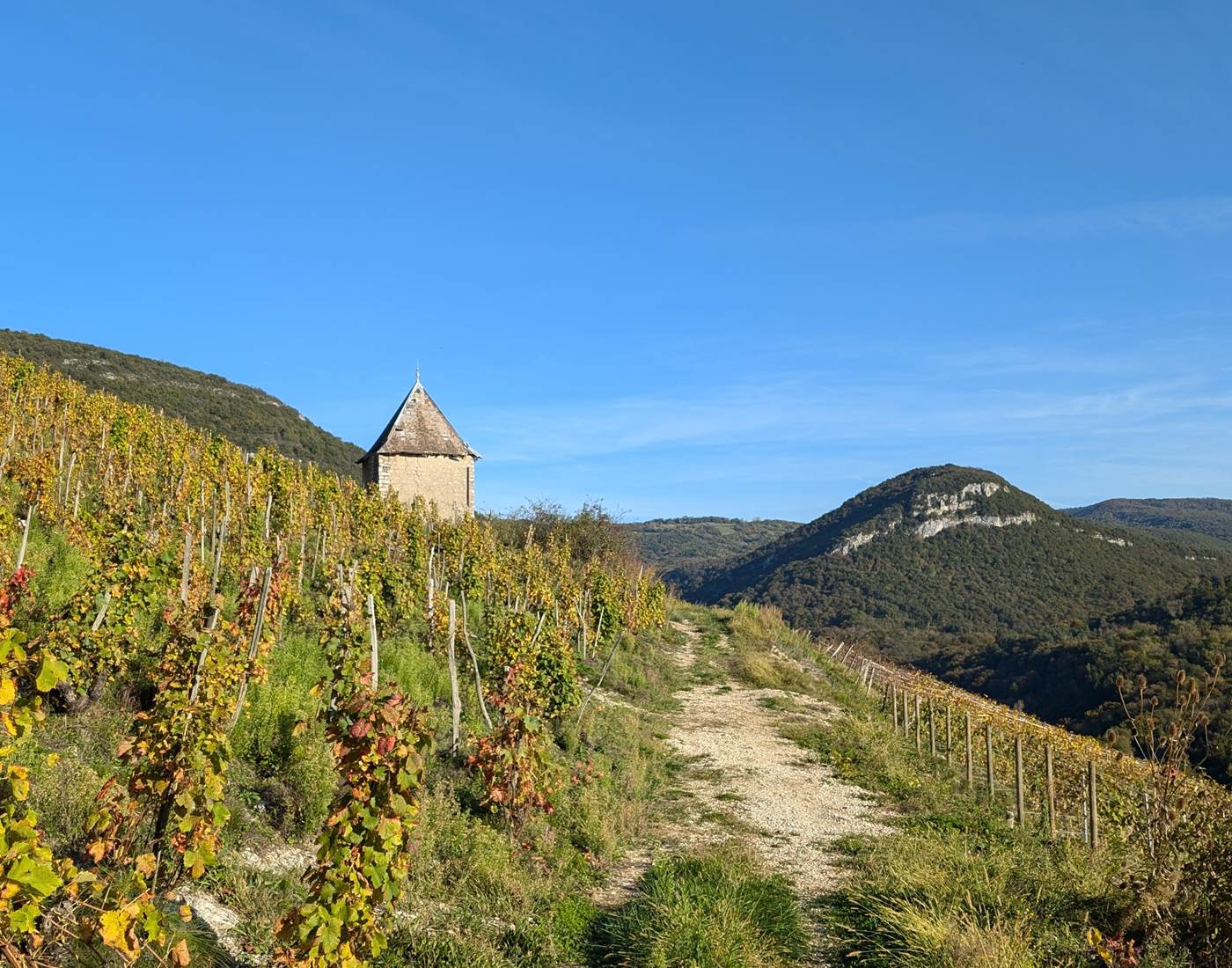 Balade dans les vignes de Montagnieu-page
