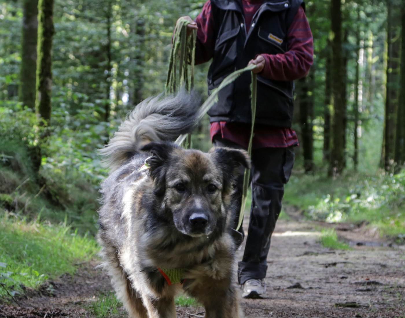 Exercice de recherche avec Ruth Dieckmann