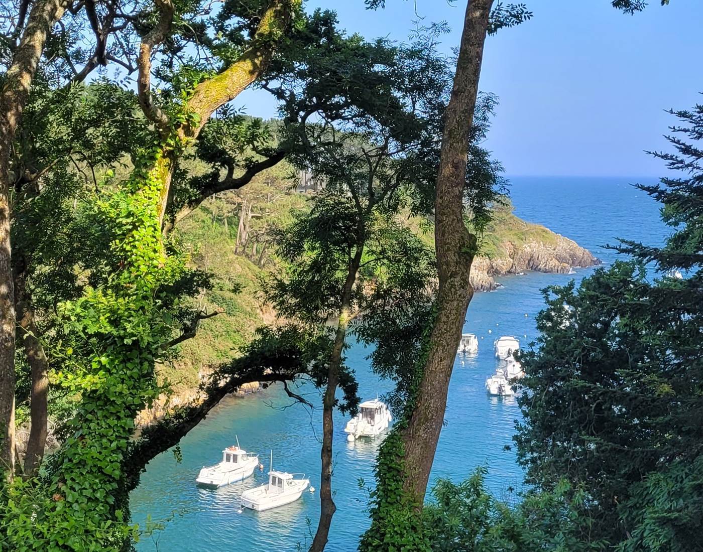 Ria de Brigneau-page