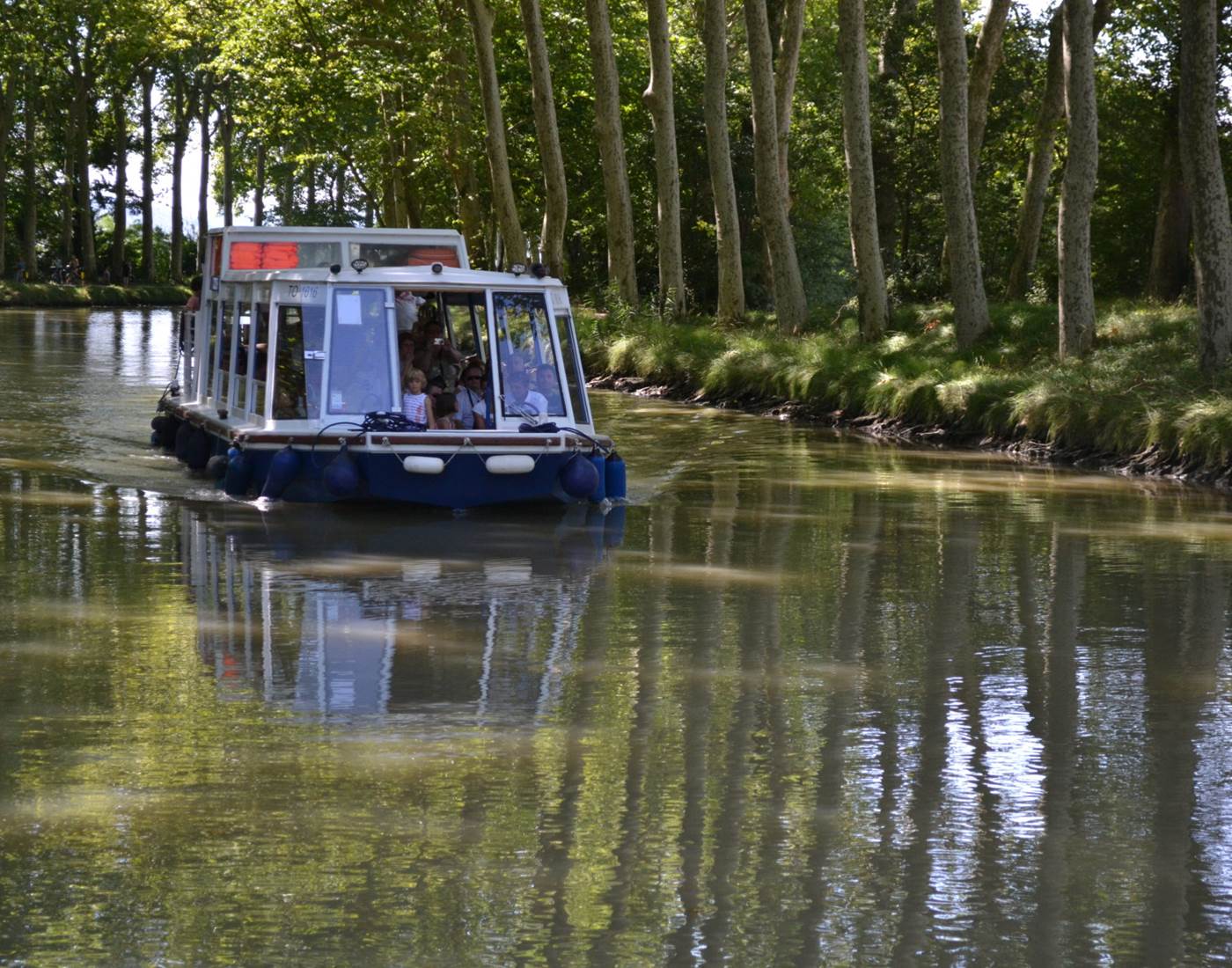 La saint-Roch Canal du Midi - Domaine de Lanis Chambres Hôtes Castelnaudary