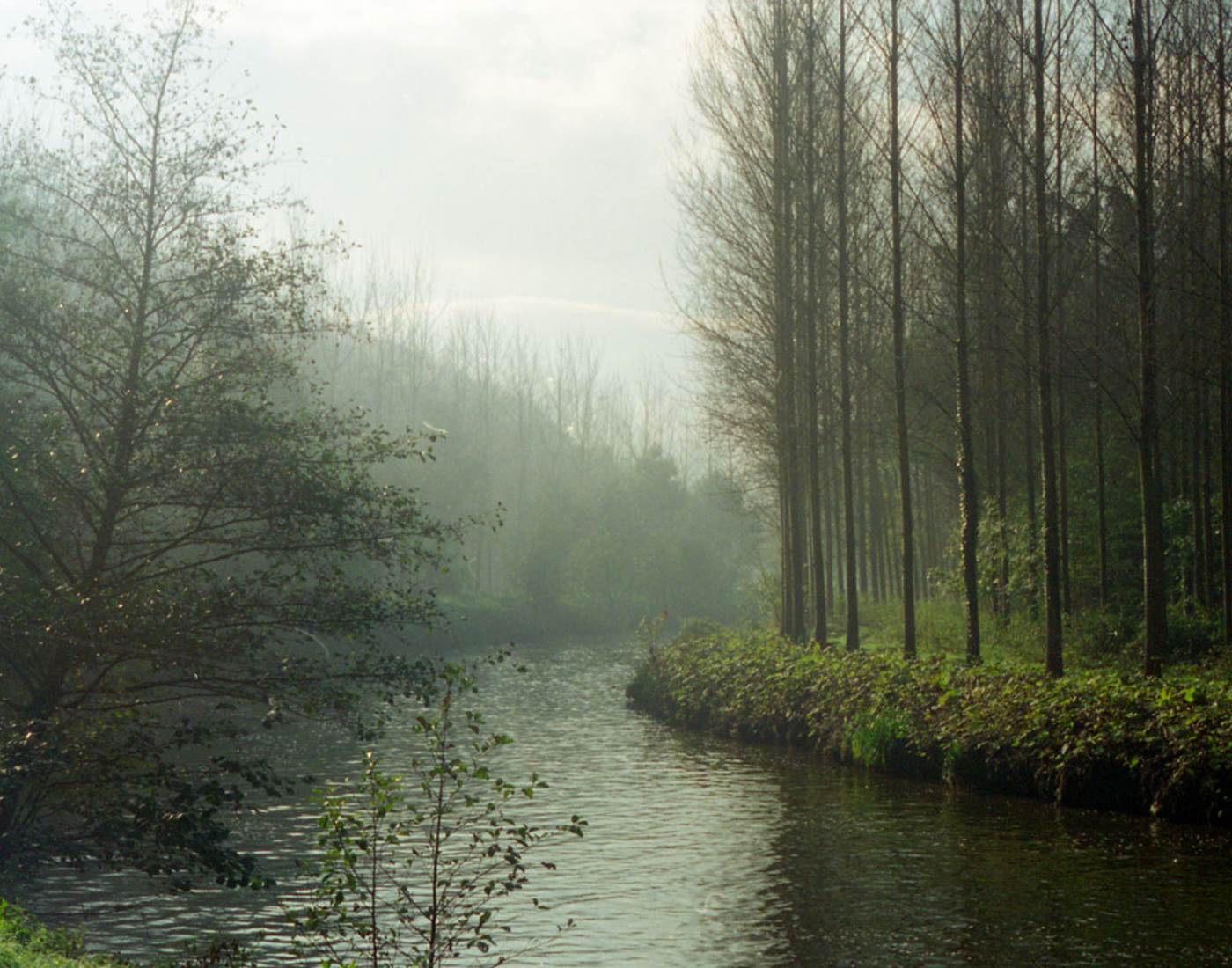Le chemin de halage après LEHON