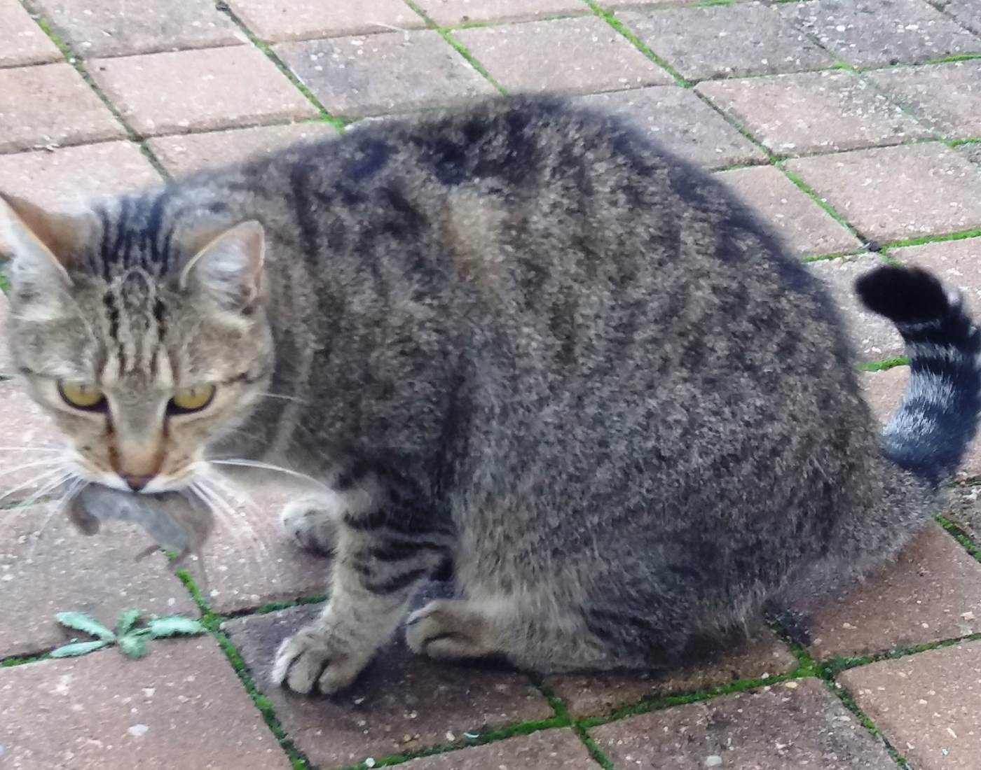 Élios, notre Bébé d’Amour