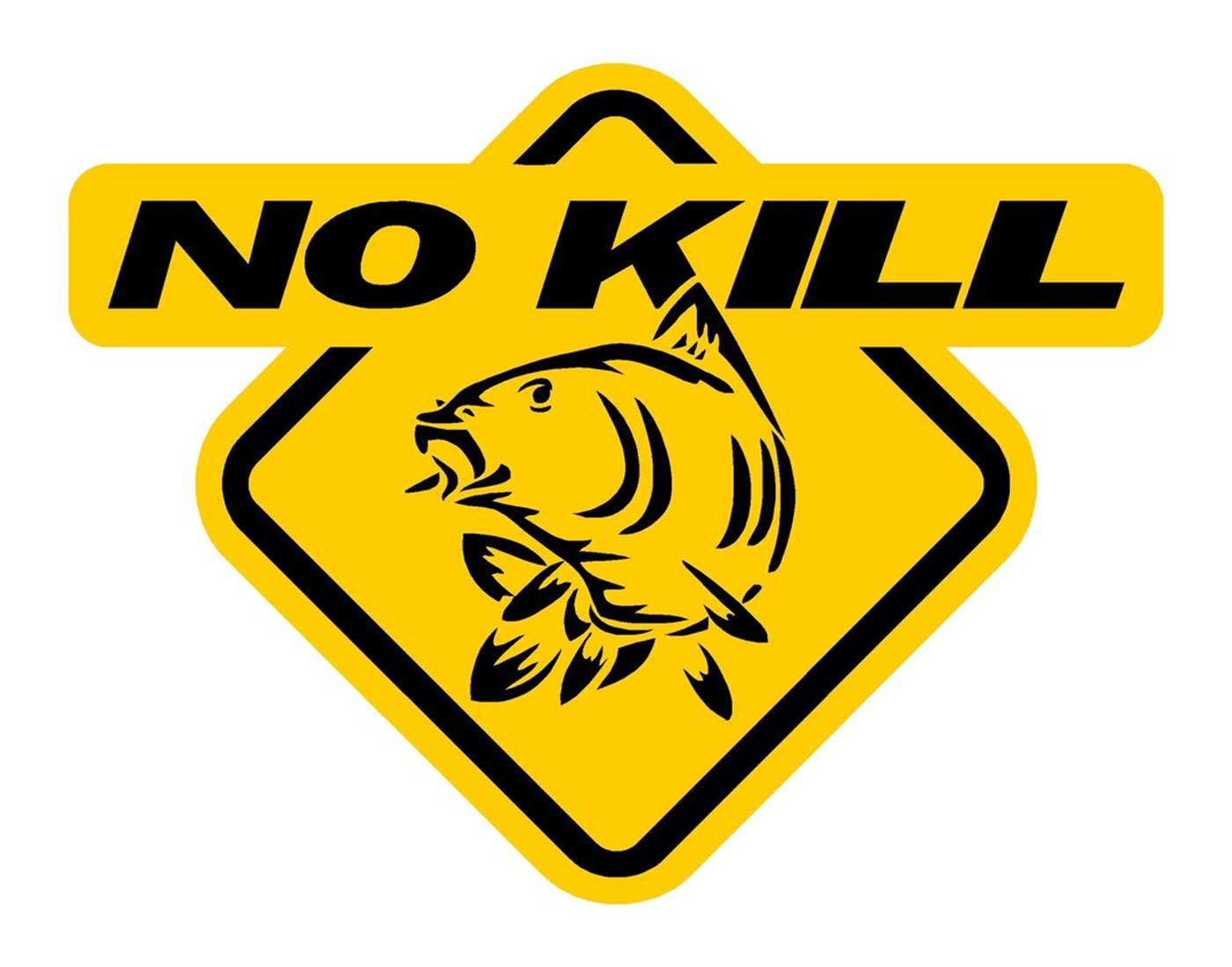 REGLEMENT PECHE A LA CARPE - A LIRE