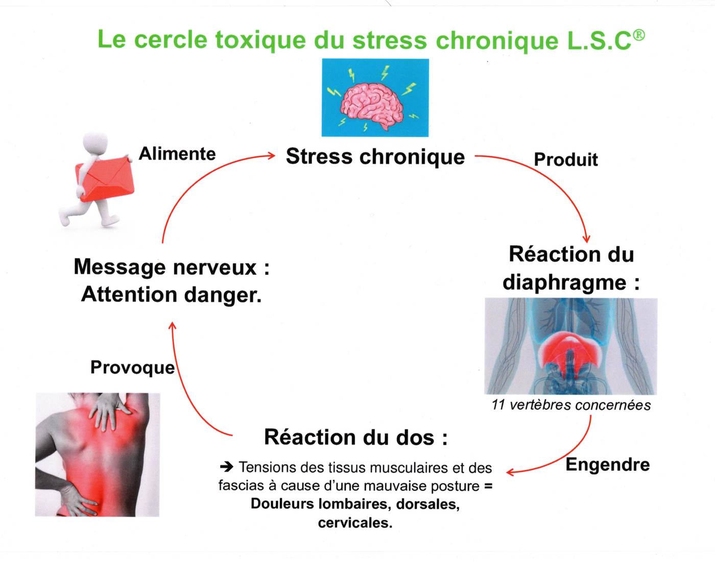 Shéma du cercle vicieux du stress chronique-page