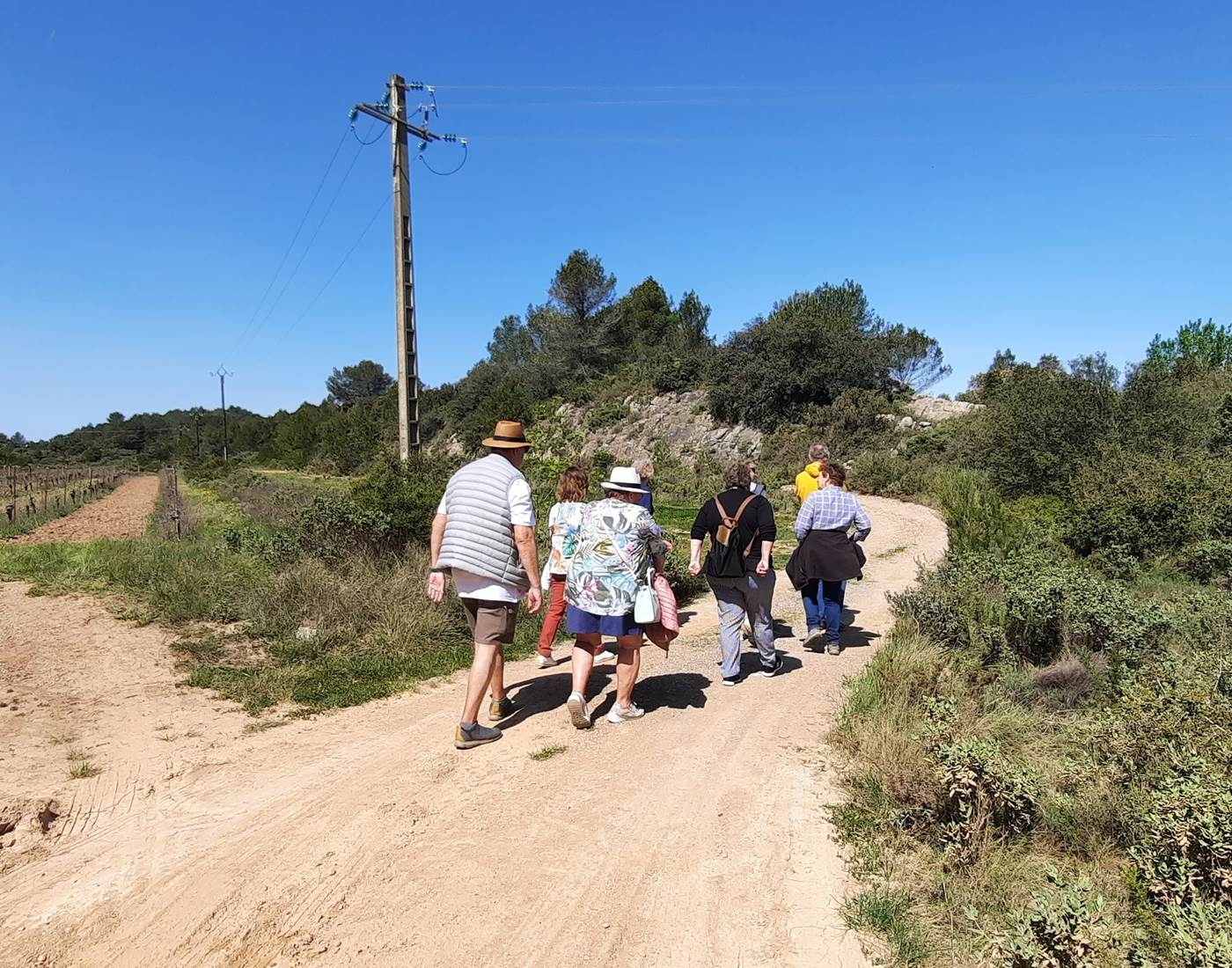 balade dans les vignes Domaine La Tasque