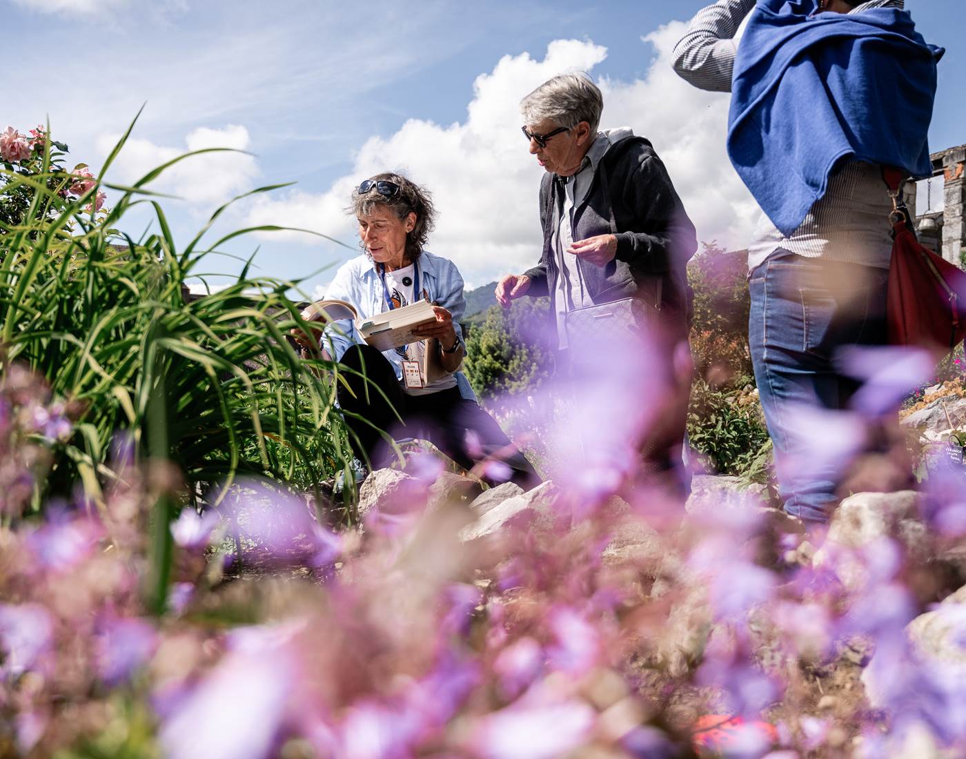 Visite jardin château fort - Musée pyréhéen