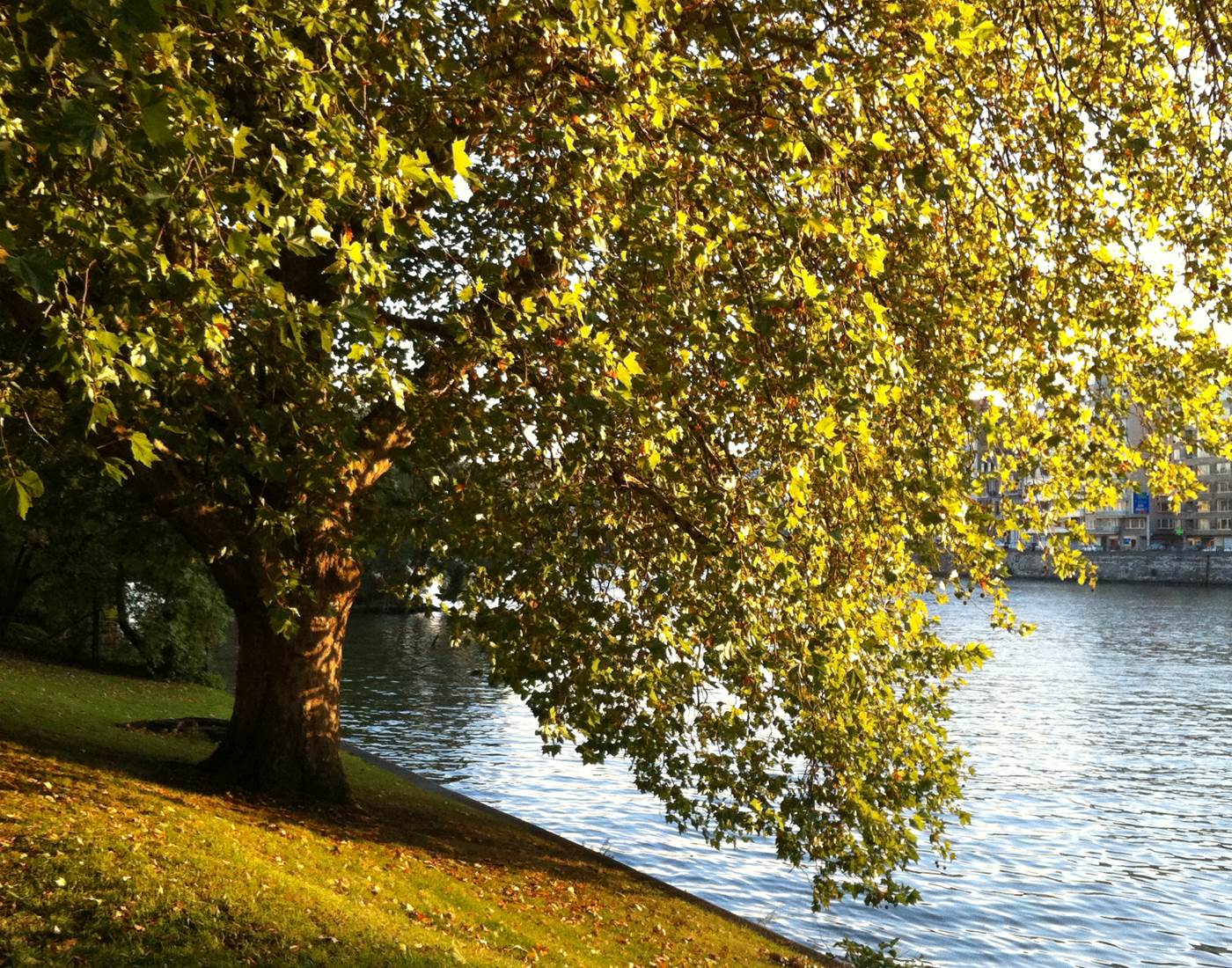 Ambiance Boverie-page