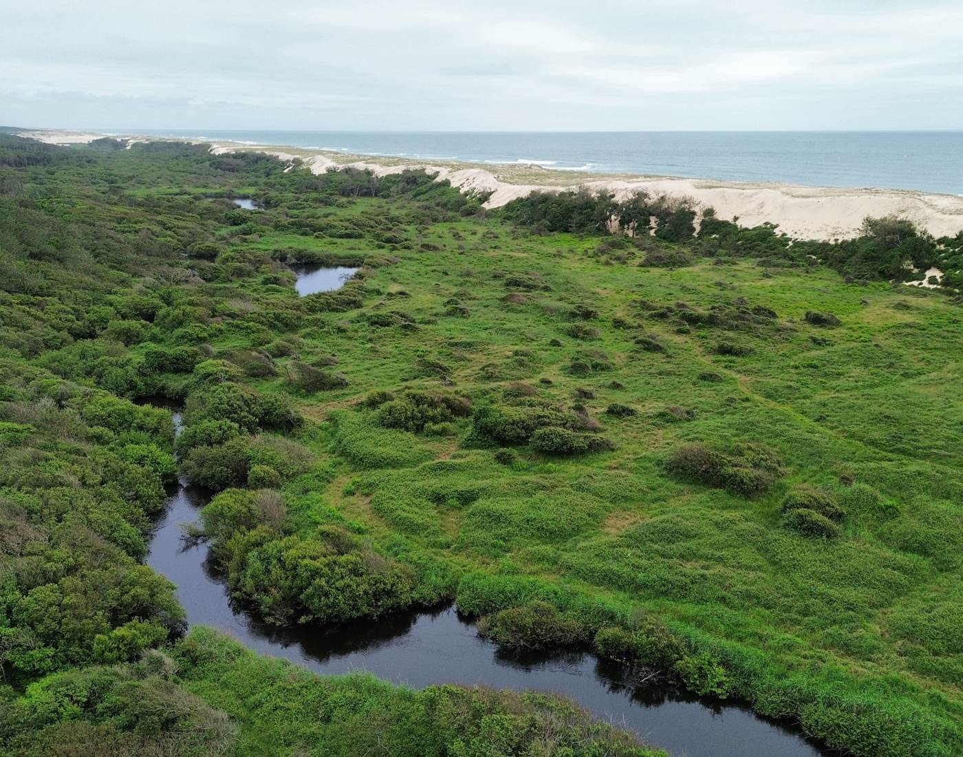 Réserve naturelle du Courant d'Huchet Landes-page