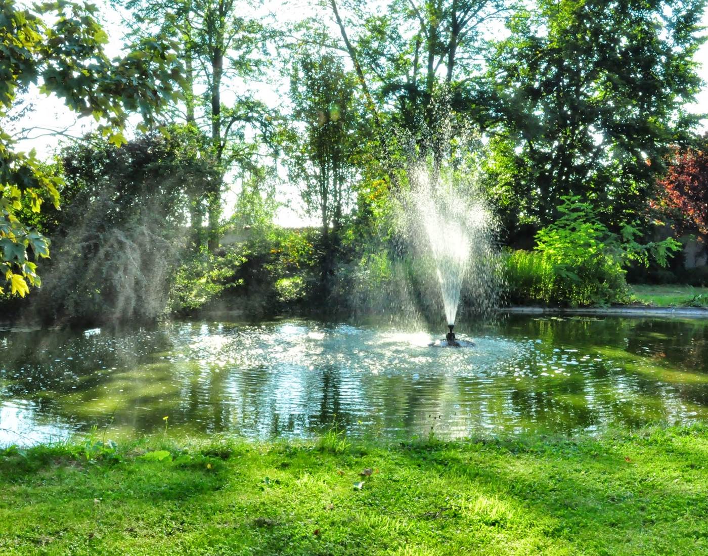 Bassin et jets deau