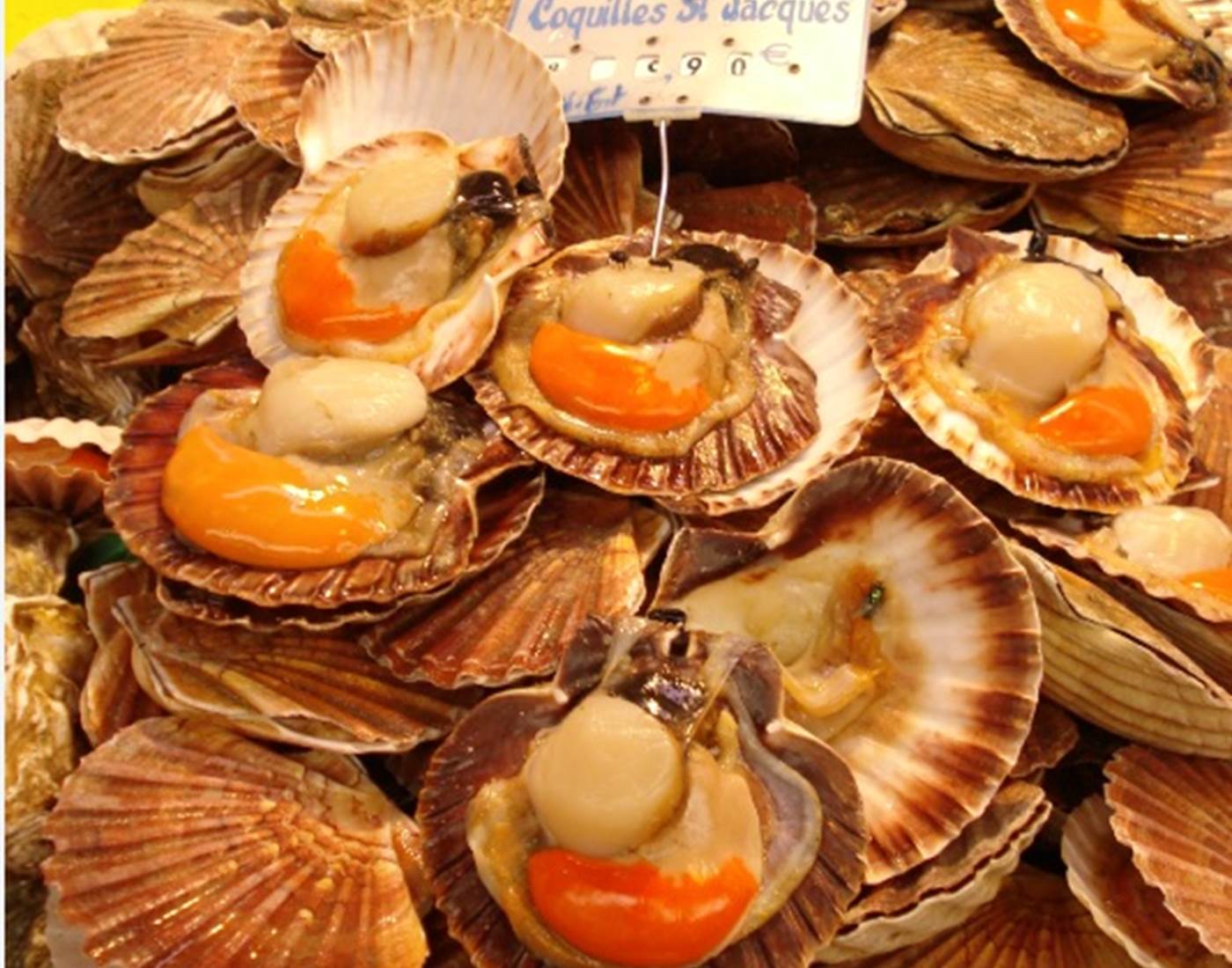 Coquilles Saint Jacques