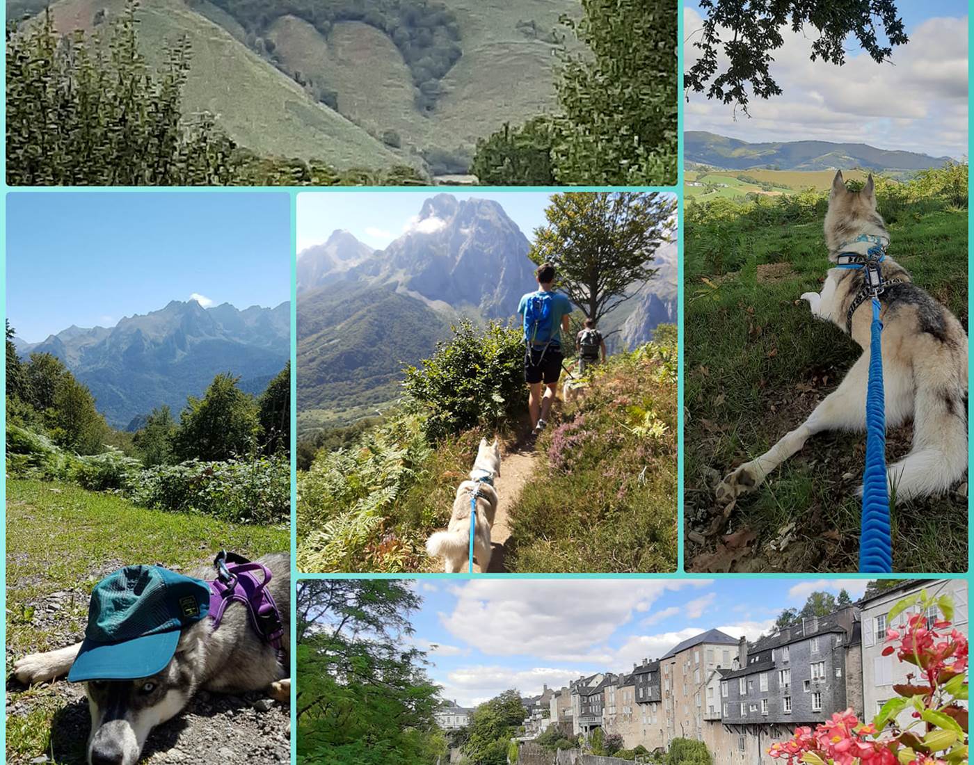 rando-Pyrénées-avec-des-chiens